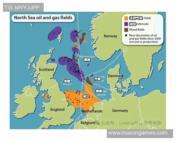 你不知道的凯尔特人:十大冷知识大揭秘 你不知道的凯尔特人:十大冷知识大揭秘